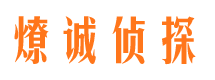 天桥调查公司